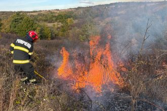 Incendii de vegetație în Timiș. Zeci de hectare au fost afectate