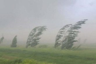 Vânt puternic și ploi în Timiș. Avertizarea meteo, valabilă până joi