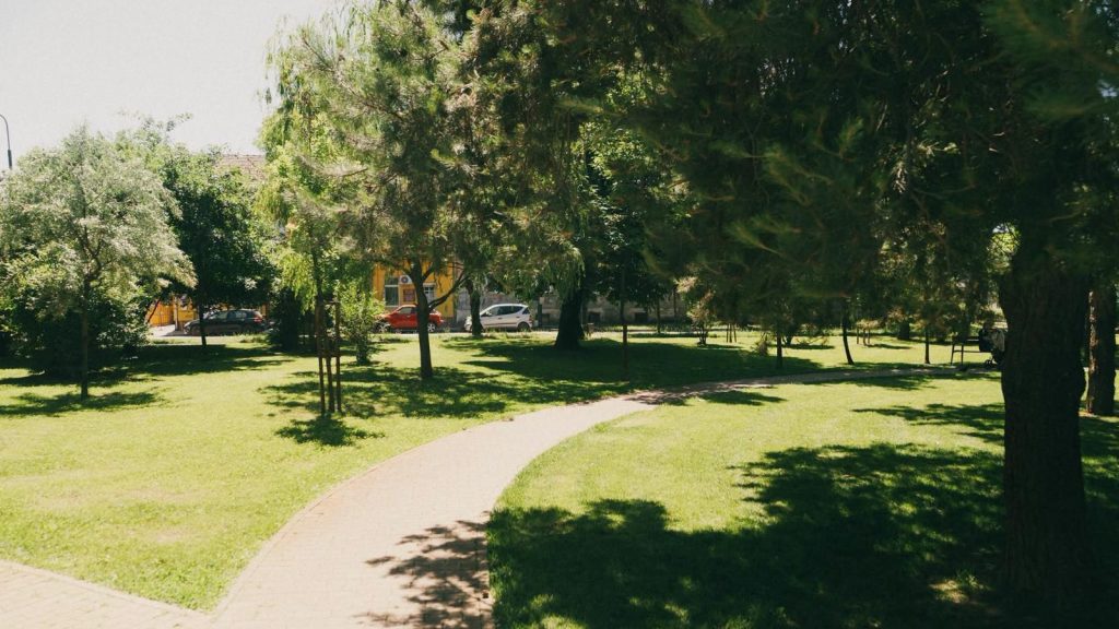 Dezbatere publică la Primăria Timișoara despre calitatea aerului