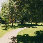 Dezbatere publică la Primăria Timișoara despre calitatea aerului