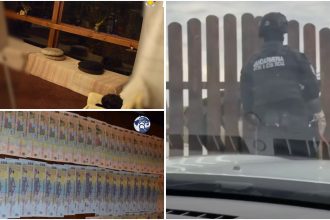 Percheziții DIICOT la un centru de dezvoltare spirituală din Hunedoara, unde au fost descoperite droguri de mare risc