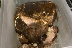 OPC-Complexul-Studentesc1